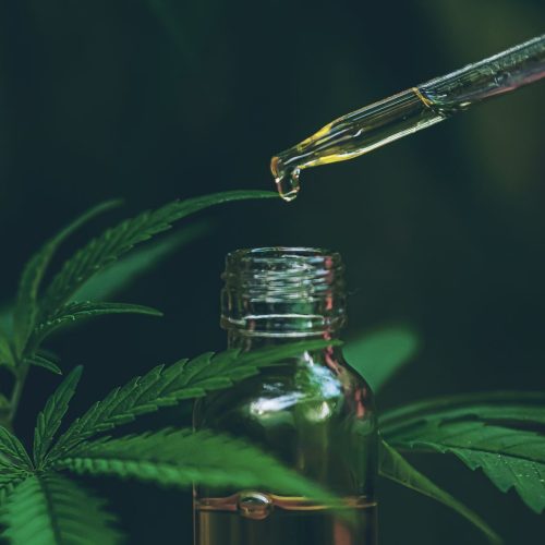 CBD oil Sydney